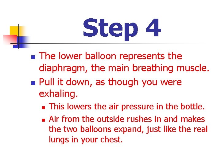 Step 4 n n The lower balloon represents the diaphragm, the main breathing muscle.