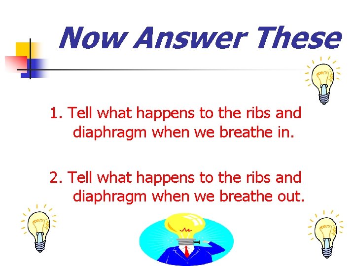 Now Answer These 1. Tell what happens to the ribs and diaphragm when we