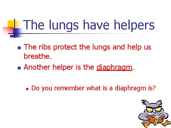 The lungs have helpers n n The ribs protect the lungs and help us