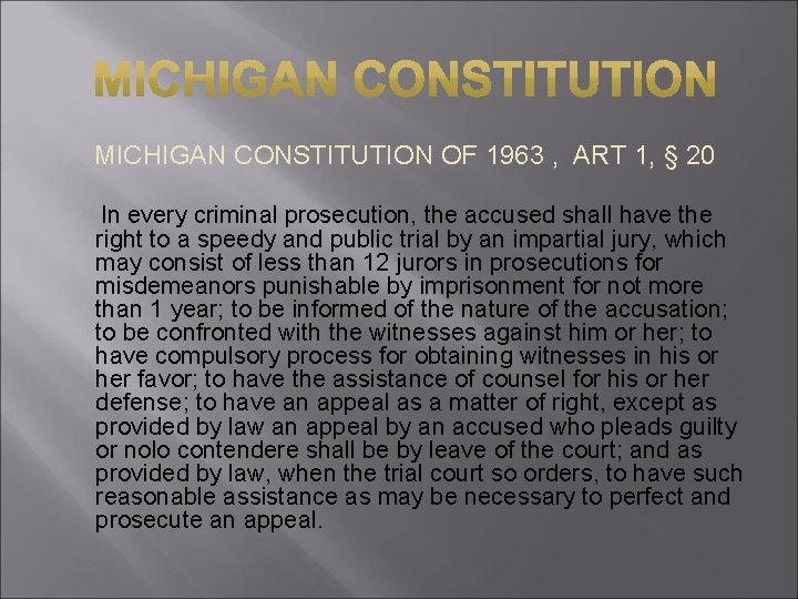 MICHIGAN CONSTITUTION OF 1963 , ART 1, § 20 In every criminal prosecution, the