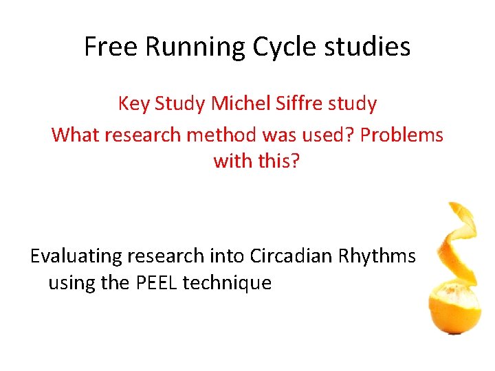 Free Running Cycle studies Key Study Michel Siffre study What research method was used?