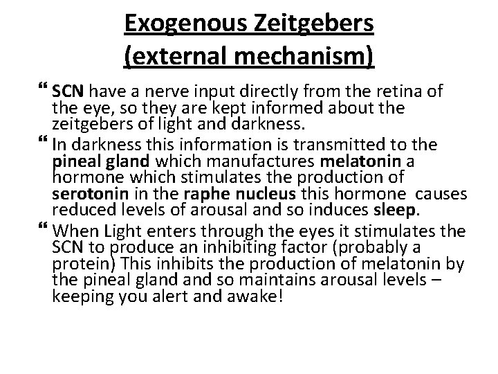Exogenous Zeitgebers (external mechanism) SCN have a nerve input directly from the retina of