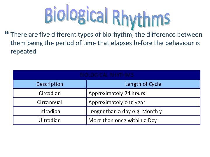  There are five different types of biorhythm, the difference between them being the
