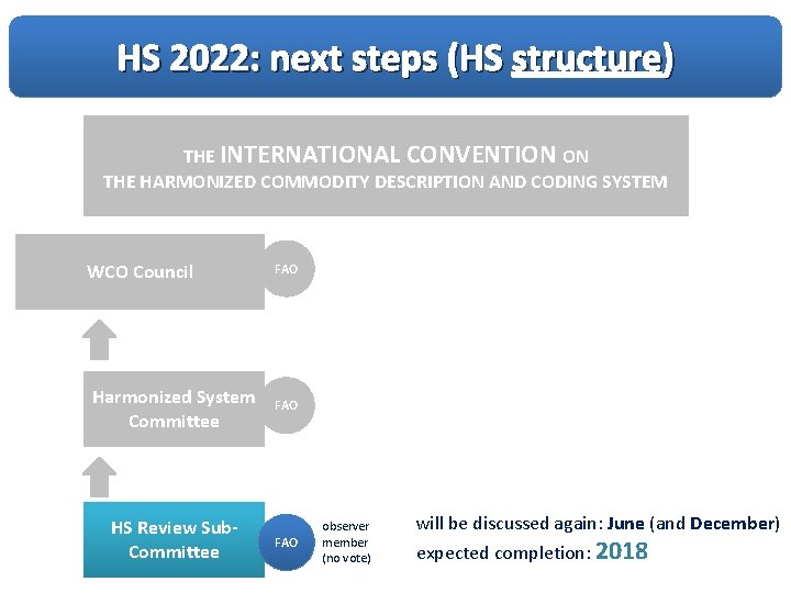 HS 2022: next steps (HS structure) THE INTERNATIONAL CONVENTION ON THE HARMONIZED COMMODITY DESCRIPTION HS 2022: next steps (HS structure) THE INTERNATIONAL CONVENTION ON THE HARMONIZED COMMODITY DESCRIPTION