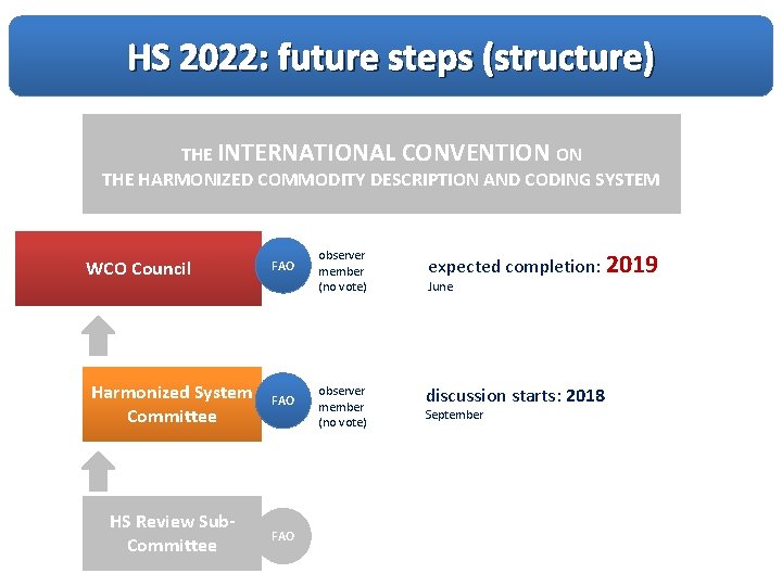 HS 2022: future steps (structure) THE INTERNATIONAL CONVENTION ON THE HARMONIZED COMMODITY DESCRIPTION AND HS 2022: future steps (structure) THE INTERNATIONAL CONVENTION ON THE HARMONIZED COMMODITY DESCRIPTION AND