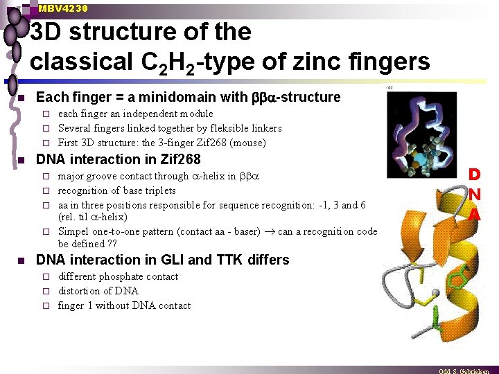 MBV 4230 3 D structure of the classical C 2 H 2 -type of