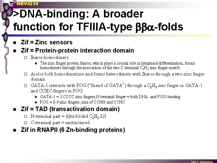 MBV 4230 >DNA-binding: A broader function for TFIIIA-type -folds n n Zif = Zinc