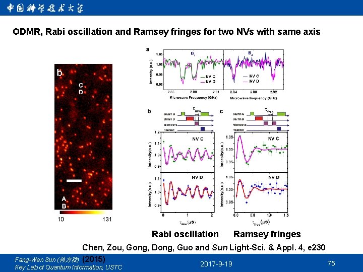 ODMR, Rabi oscillation and Ramsey fringes for two NVs with same axis Rabi oscillation
