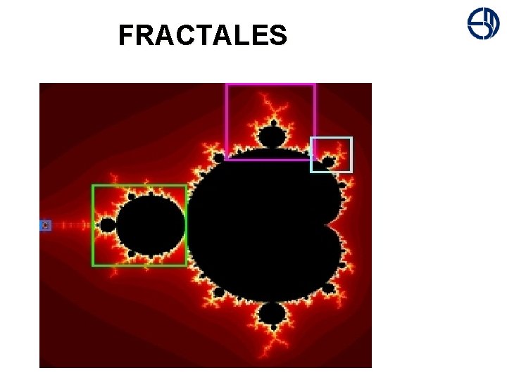 + FRACTALES 