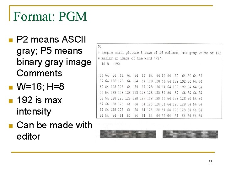 Format: PGM n n P 2 means ASCII gray; P 5 means binary gray Format: PGM n n P 2 means ASCII gray; P 5 means binary gray