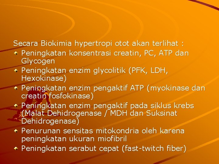 Secara Biokimia hypertropi otot akan terlihat : Peningkatan konsentrasi creatin, PC, ATP dan Glycogen