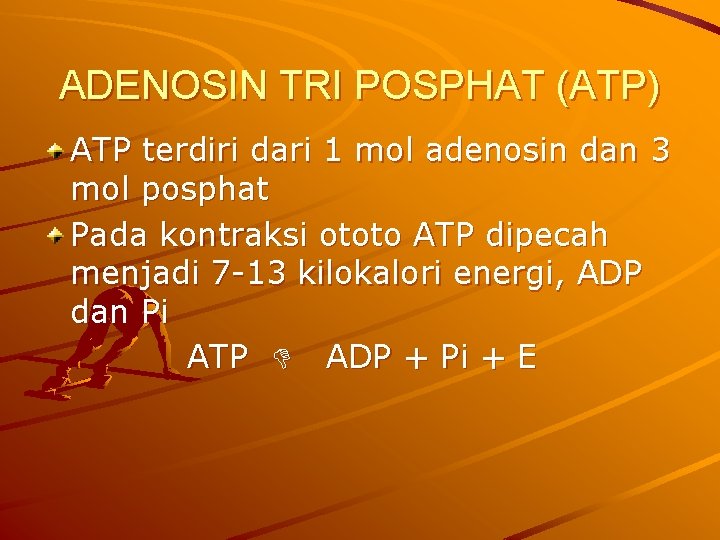 ADENOSIN TRI POSPHAT (ATP) ATP terdiri dari 1 mol adenosin dan 3 mol posphat