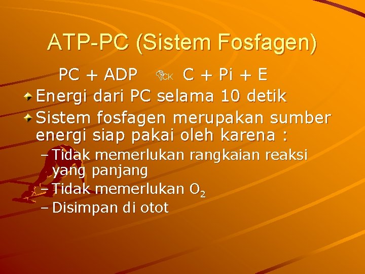 ATP-PC (Sistem Fosfagen) PC + ADP CK C + Pi + E Energi dari