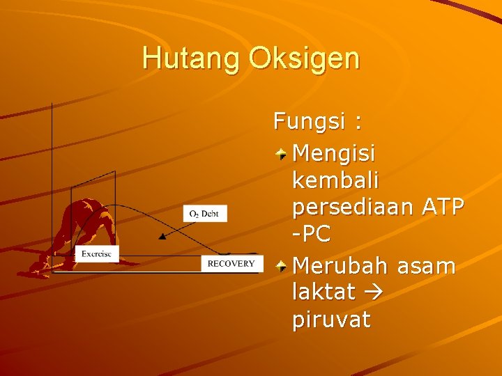 Hutang Oksigen Fungsi : Mengisi kembali persediaan ATP -PC Merubah asam laktat piruvat 