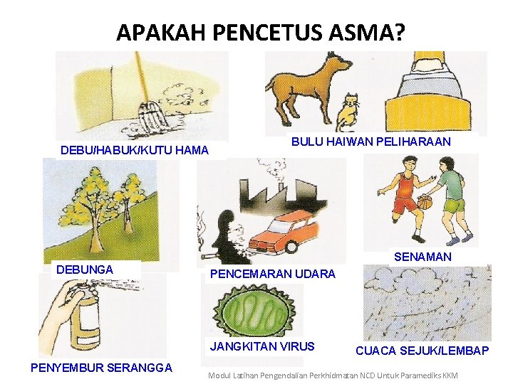 APAKAH PENCETUS ASMA? DEBU/HABUK/KUTU HAMA BULU HAIWAN PELIHARAAN SENAMAN DEBUNGA PENCEMARAN UDARA JANGKITAN VIRUS