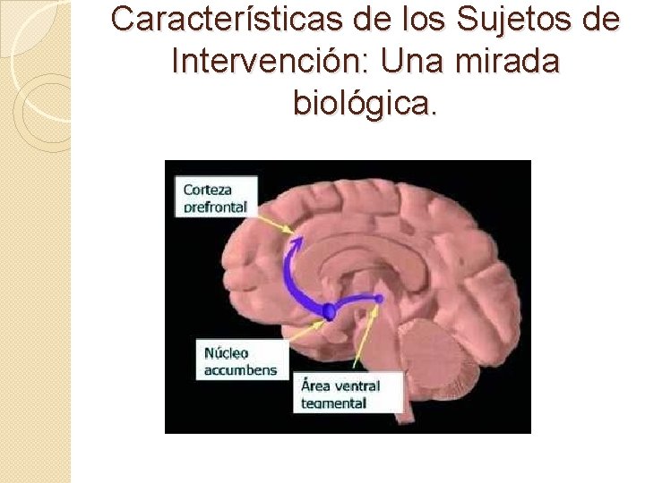 Características de los Sujetos de Intervención: Una mirada biológica. 