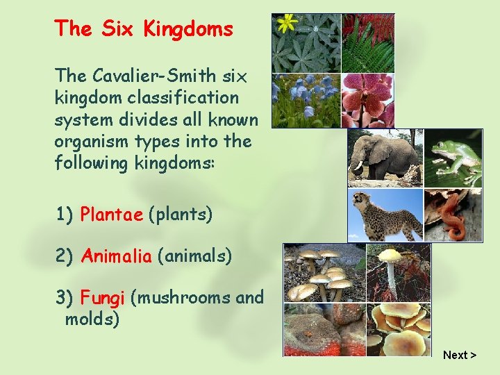 The Six Kingdoms The Cavalier-Smith six kingdom classification system divides all known organism types