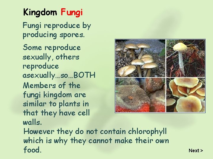 Kingdom Fungi reproduce by producing spores. Some reproduce sexually, others reproduce asexually…so…BOTH Members of