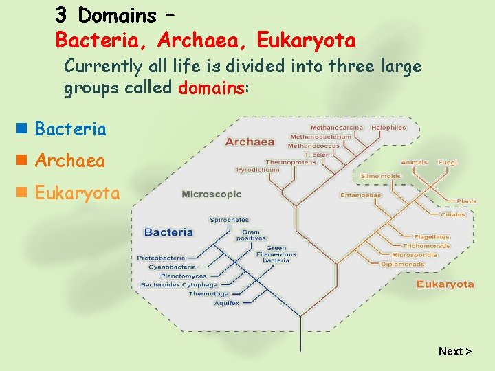 3 Domains – Bacteria, Archaea, Eukaryota Currently all life is divided into three large