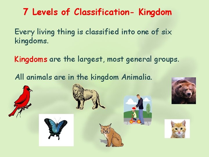 7 Levels of Classification- Kingdom Every living thing is classified into one of six