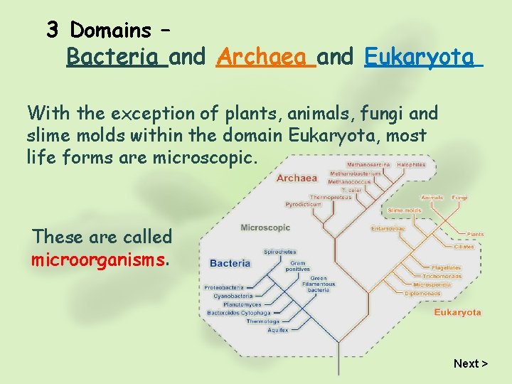 3 Domains – Bacteria and Archaea and Eukaryota With the exception of plants, animals,