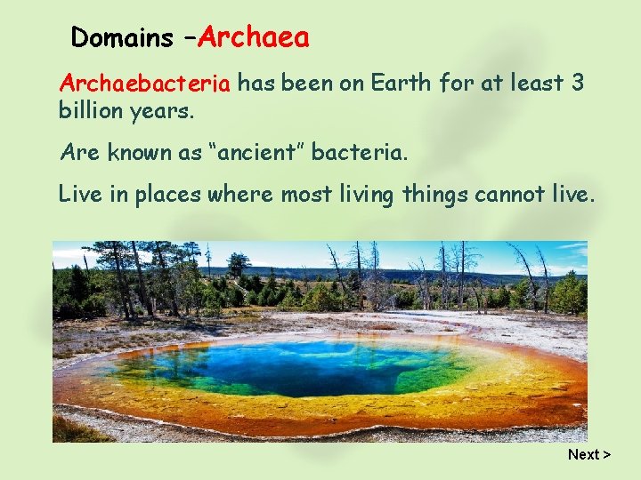 Domains –Archaea Archaebacteria has been on Earth for at least 3 billion years. Are
