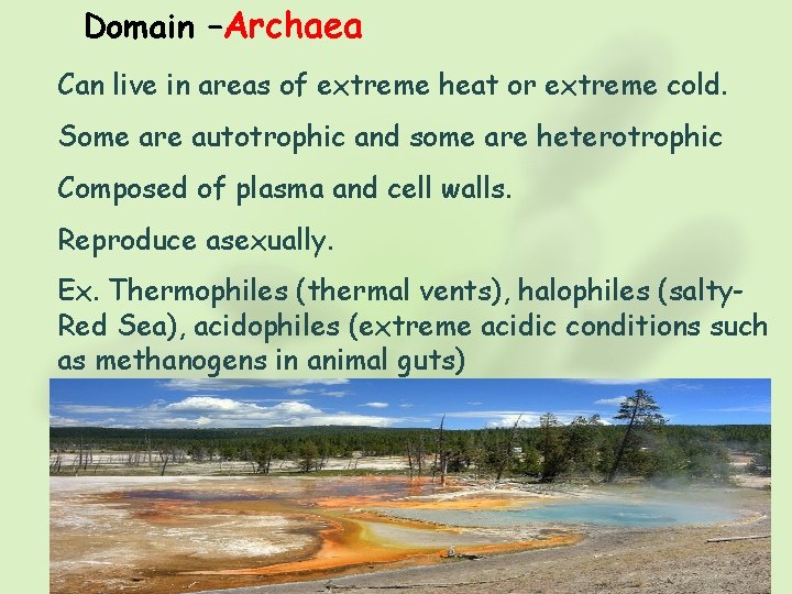 Domain –Archaea Can live in areas of extreme heat or extreme cold. Some are