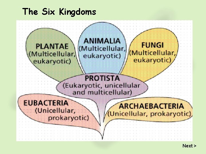 The Six Kingdoms Next > 