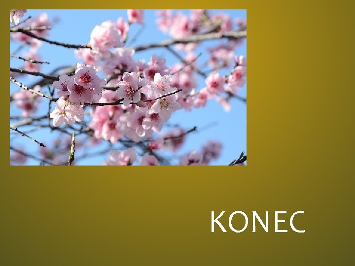 KONEC 