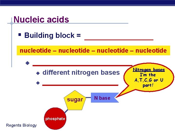 Nucleic acids § Building block = _________ nucleotide – nucleotide u ____________ u u