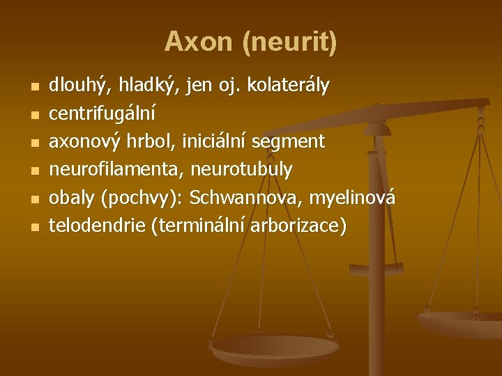 Axon (neurit) n n n dlouhý, hladký, jen oj. kolaterály centrifugální axonový hrbol, iniciální