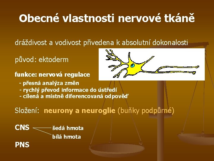 Obecné vlastnosti nervové tkáně dráždivost a vodivost přivedena k absolutní dokonalosti původ: ektoderm funkce: