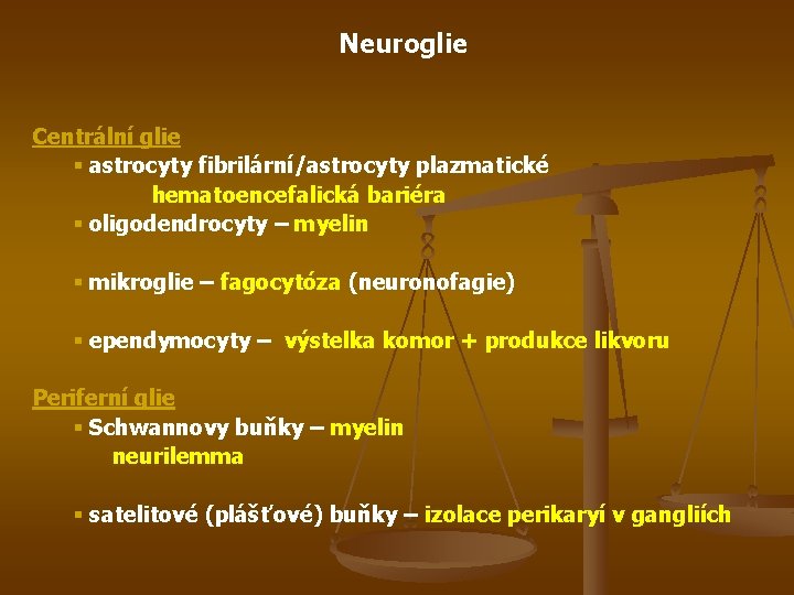 Neuroglie Centrální glie § astrocyty fibrilární/astrocyty plazmatické hematoencefalická bariéra § oligodendrocyty – myelin §