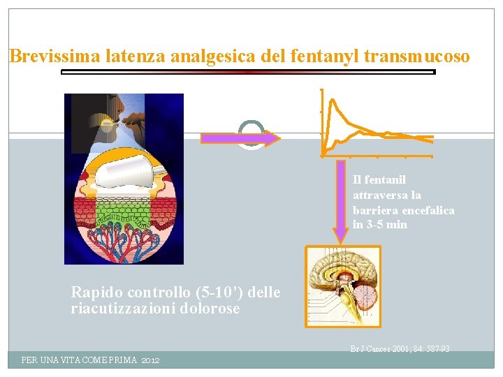 Brevissima latenza analgesica del fentanyl transmucoso Il fentanil attraversa la barriera encefalica in 3