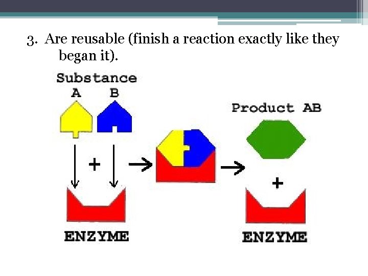 3. Are reusable (finish a reaction exactly like they began it). 