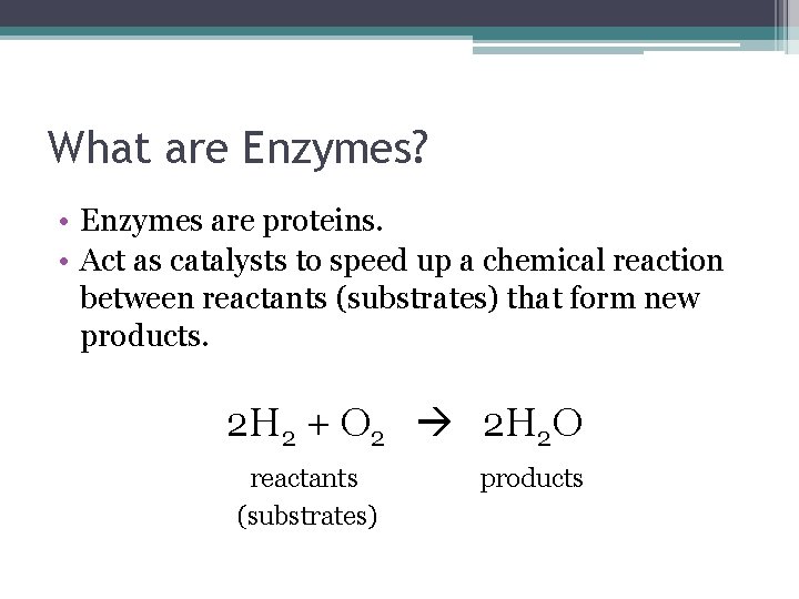 What are Enzymes? • Enzymes are proteins. • Act as catalysts to speed up