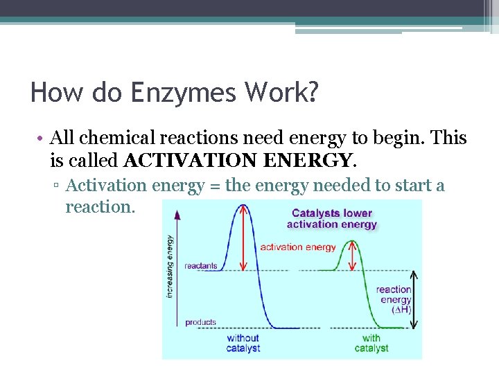 How do Enzymes Work? • All chemical reactions need energy to begin. This is