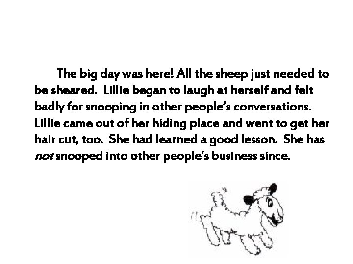 The big day was here! All the sheep just needed to be sheared. Lillie