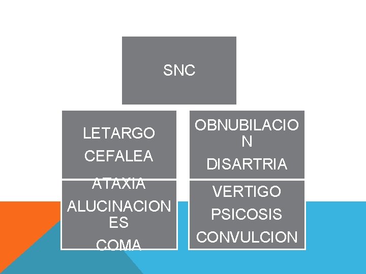 SNC LETARGO CEFALEA ATAXIA ALUCINACION ES COMA OBNUBILACIO N DISARTRIA VERTIGO PSICOSIS CONVULCION 