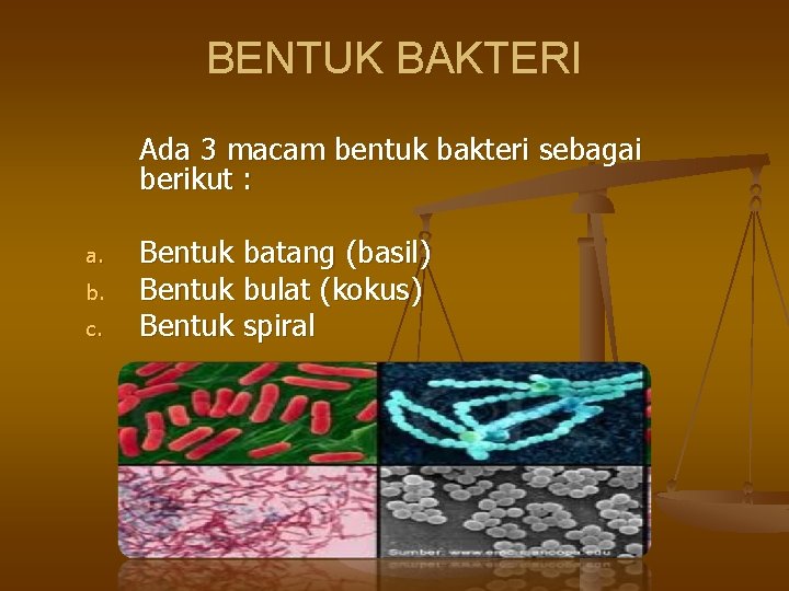 BENTUK BAKTERI Ada 3 macam bentuk bakteri sebagai berikut : a. b. c. Bentuk