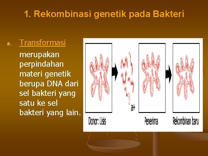 1. Rekombinasi genetik pada Bakteri a. Transformasi merupakan perpindahan materi genetik berupa DNA dari