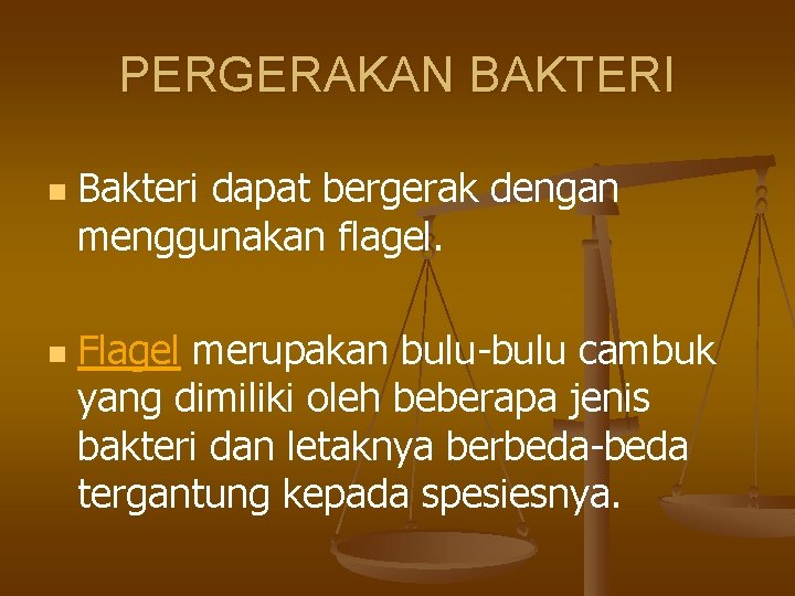 PERGERAKAN BAKTERI n n Bakteri dapat bergerak dengan menggunakan flagel. Flagel merupakan bulu-bulu cambuk
