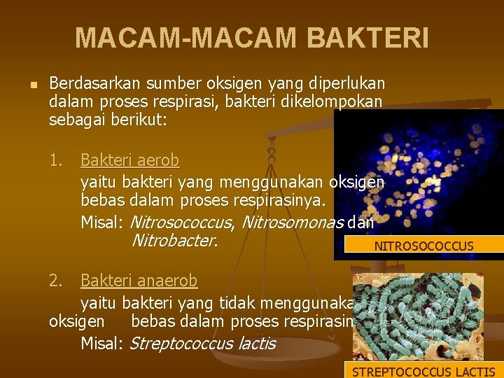 MACAM-MACAM BAKTERI n Berdasarkan sumber oksigen yang diperlukan dalam proses respirasi, bakteri dikelompokan sebagai