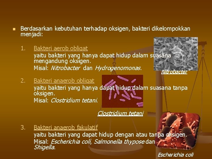 n Berdasarkan kebutuhan terhadap oksigen, bakteri dikelompokkan menjadi: 1. Bakteri aerob obligat yaitu bakteri