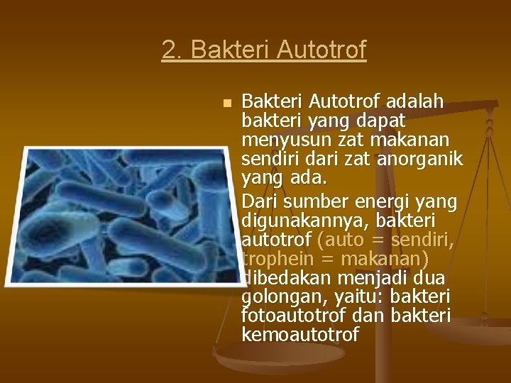 2. Bakteri Autotrof n n Bakteri Autotrof adalah bakteri yang dapat menyusun zat makanan