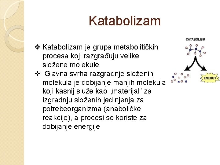 Katabolizam v Katabolizam je grupa metabolitičkih procesa koji razgrađuju velike složene molekule. v Glavna
