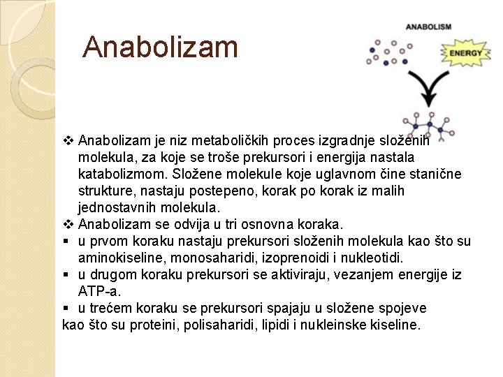 Anabolizam v Anabolizam je niz metaboličkih proces izgradnje složenih molekula, za koje se troše