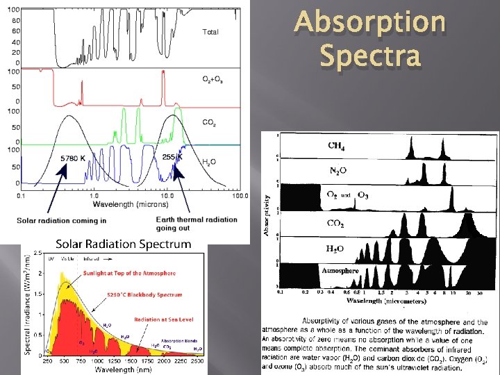 Absorption Spectra 