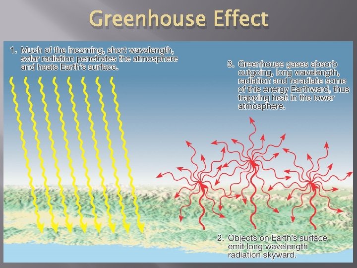 Greenhouse Effect 