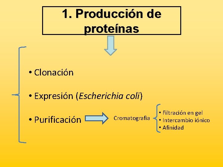 1. Producción de proteínas • Clonación • Expresión (Escherichia coli) • Purificación Cromatografia •